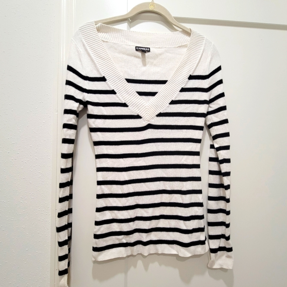 Small White and Black Striped V-Neck Express Sweater
